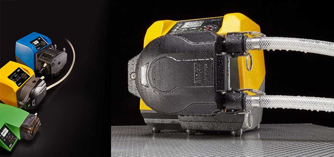 bom-nhu-dong-longger