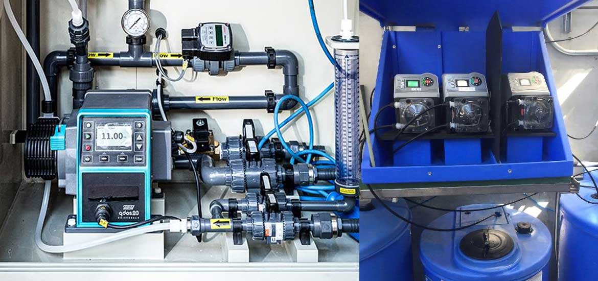 bom-nhu-dong-prominent